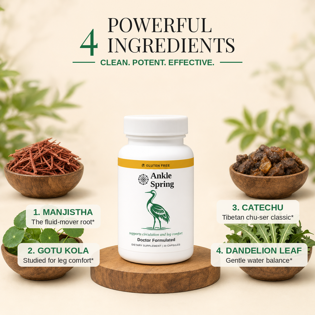 Ankle Spring ingredients: manjistha, gotu kola, catechu, dandelion leaf